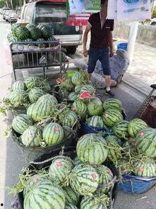 徽县网红吃瓜事件,揭秘网络舆论的风暴与真相