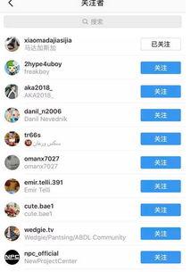 吃瓜网红视频网址,带你一探究竟