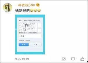 629吃瓜网验证码,轻松应对，畅享瓜界盛宴
