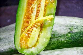 网红吃瓜白珍珠视频